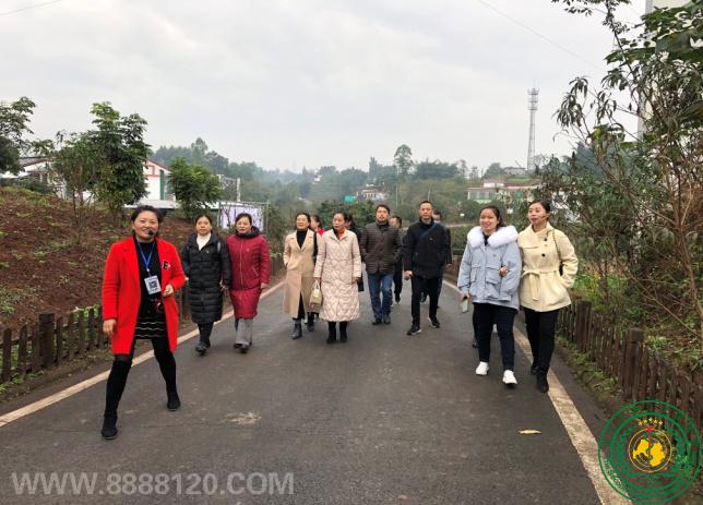   üҷ --ż쵳֧⵳ջ