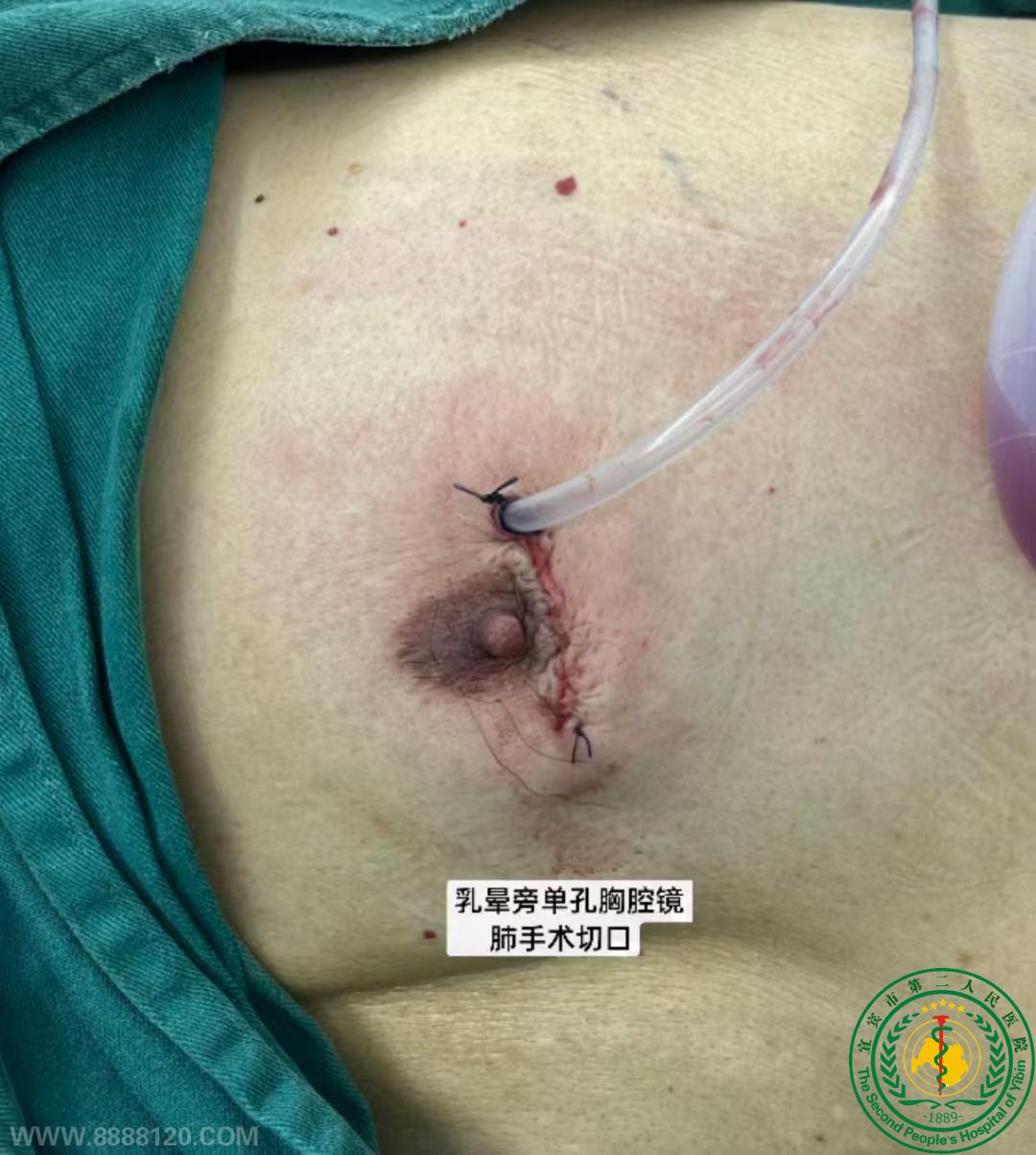 �˱����������Ե�����ǻ���ΰ�������������Ժ�ɹ���չ 