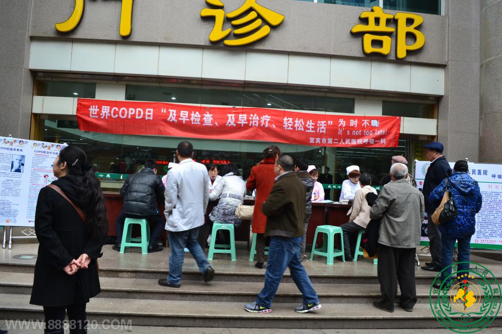 ˱еڶҽԺһ 2012COPDա