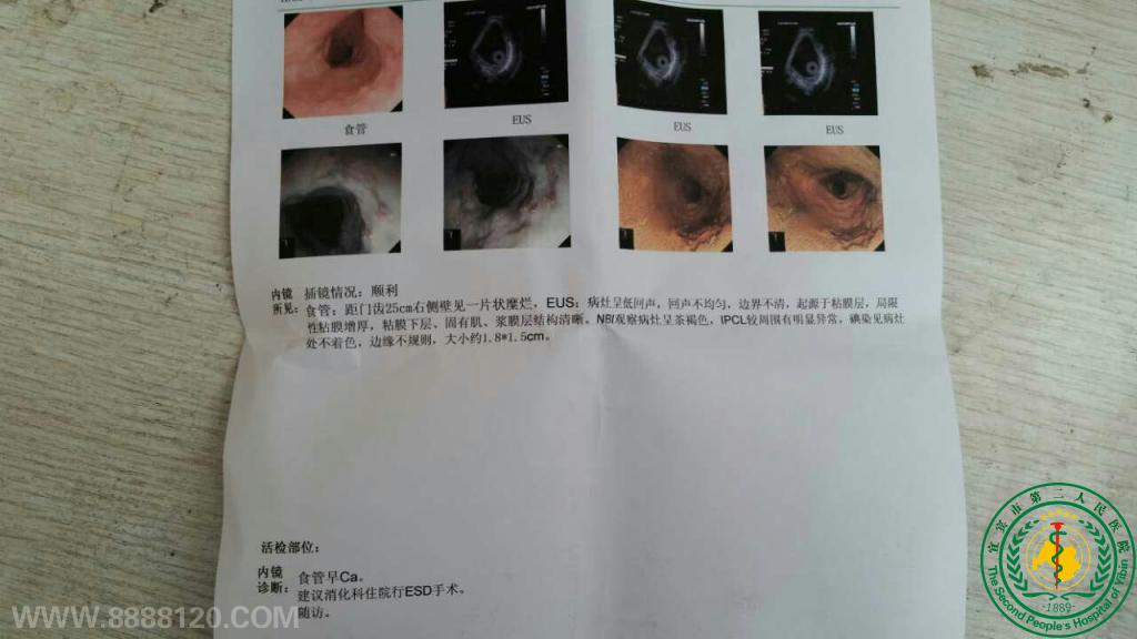 Ƴɹʵʩ˱еһʳܰθг