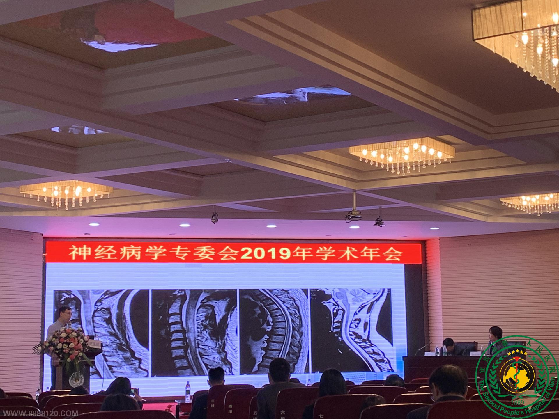 ˱ҽѧڿרί2019ѧ˳ٿ