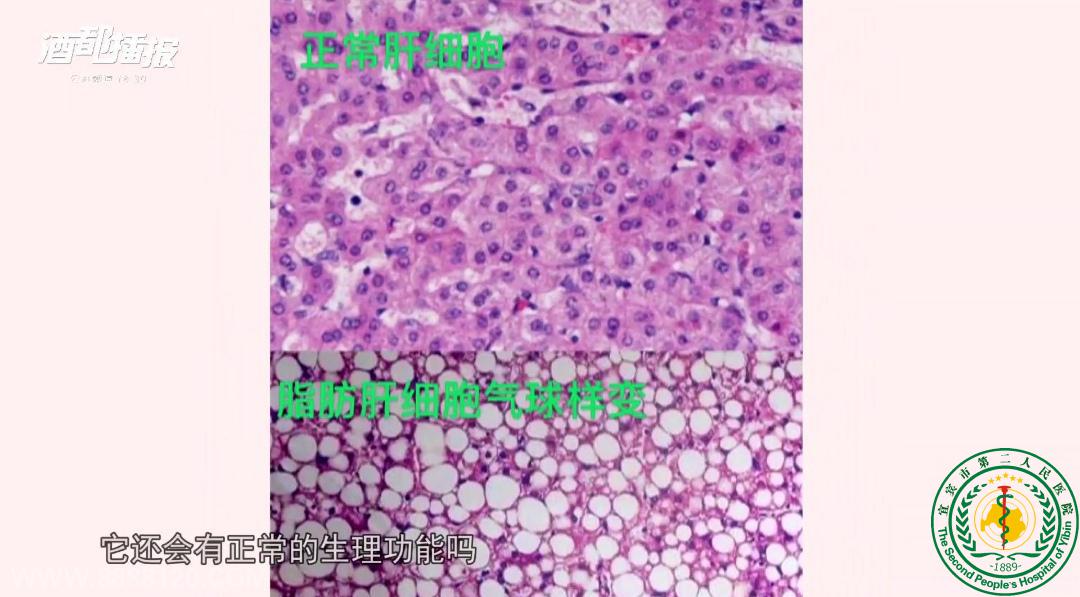 ޱϢ-˺÷-2021.03.22